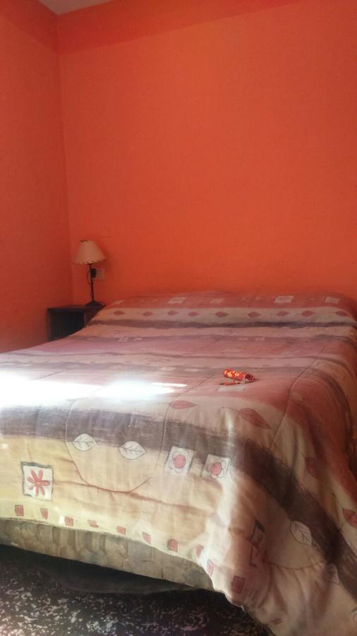 Hostel Internacional Mendoza Eksteriør billede
